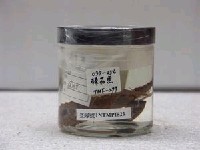 藏品(雲紋棘茄魚)的圖片